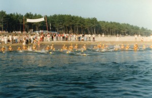 三保湾の海へ53名の選手が一斉に泳ぎ出した