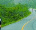 bikes