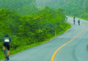bikes
